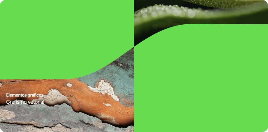 Image without alt