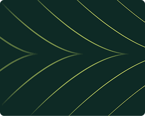 Image without alt