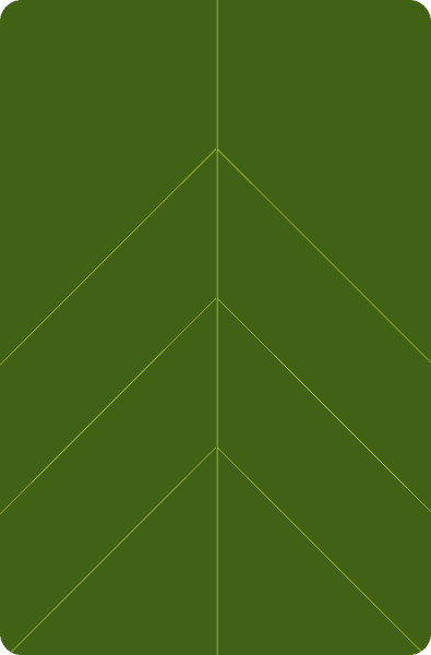 Image without alt