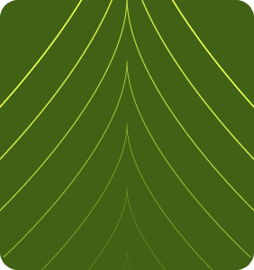 Image without alt
